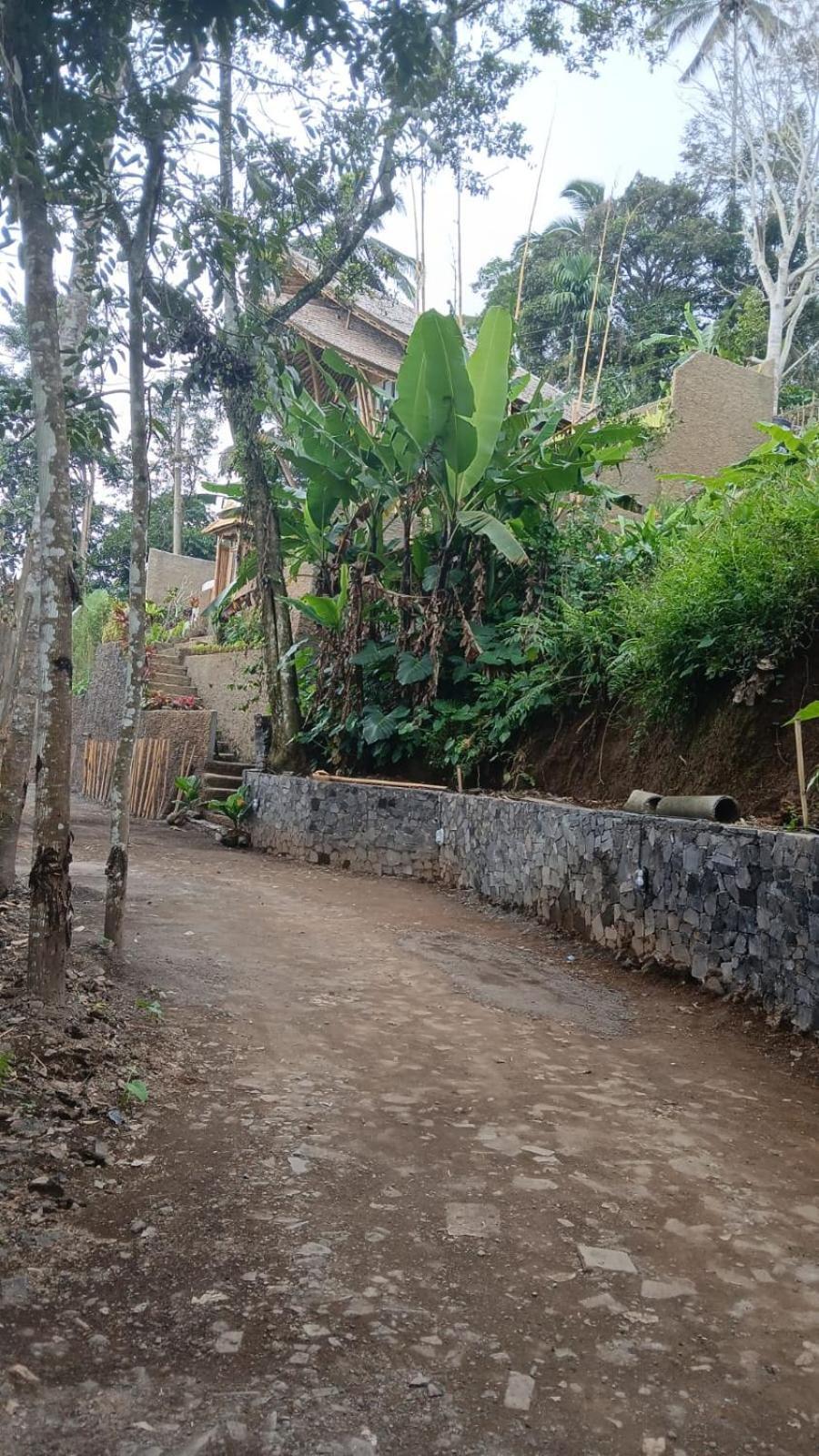 Danaswari Bali Bamboo House Villa Selat Exterior photo